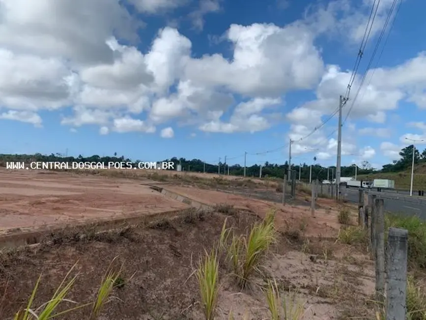 Terreno / Lote para alugar, 44000m2 em Salvador - BA - imagem 8 Foto 8 de Terreno / Lote para alugar, 44000m2 em Salvador - BA