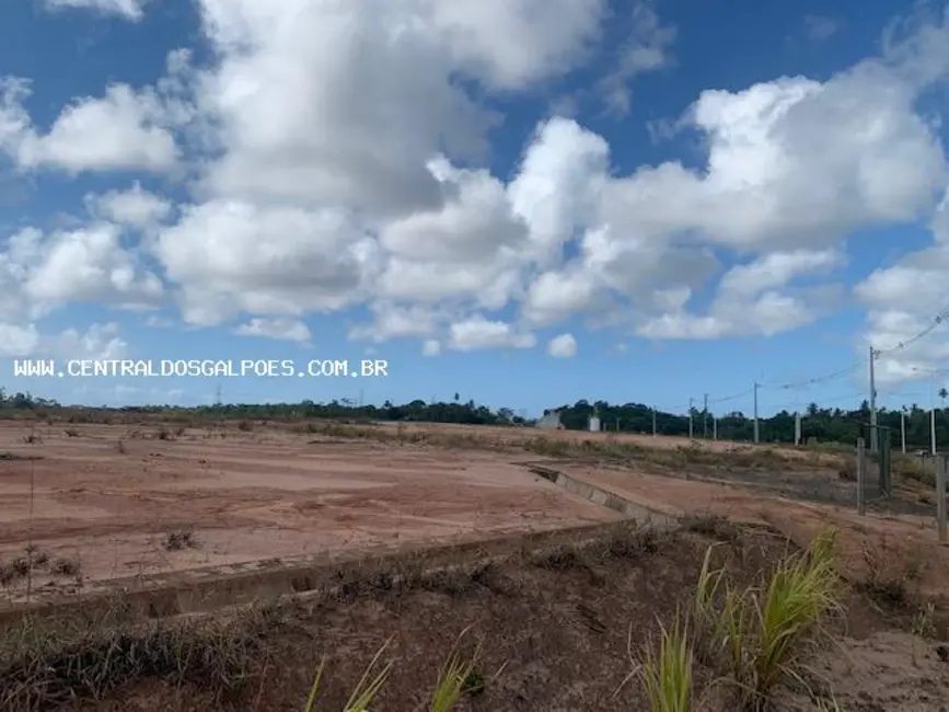 Terreno / Lote para alugar, 44000m2 em Salvador - BA - imagem 7 Foto 7 de Terreno / Lote para alugar, 44000m2 em Salvador - BA