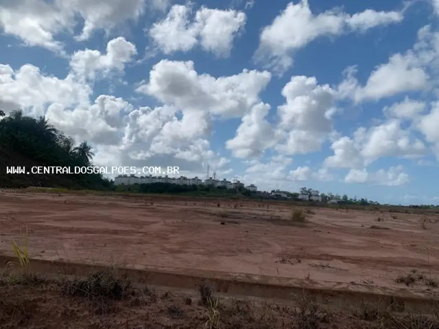 Terreno / Lote para alugar, 44000m2 em Salvador - BA - imagem 9 Foto 9 de Terreno / Lote para alugar, 44000m2 em Salvador - BA