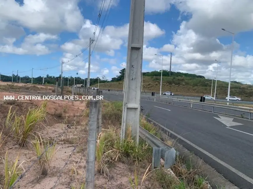 Terreno / Lote para alugar, 44000m2 em Salvador - BA - imagem 5 Foto 5 de Terreno / Lote para alugar, 44000m2 em Salvador - BA