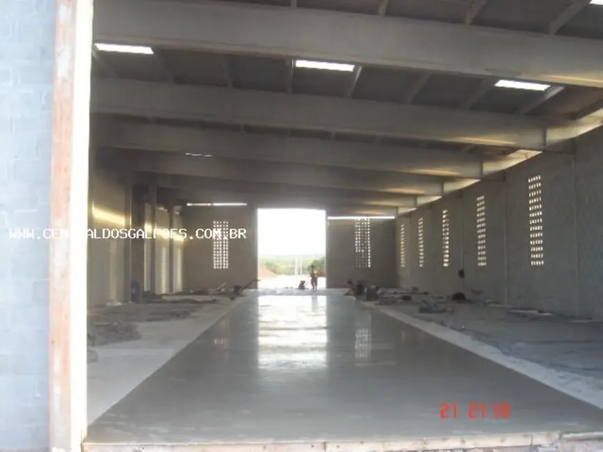 Armazém / Galpão à venda, 7000m2 em Alagoinhas - BA - imagem 3 Foto 3 de Armazém / Galpão à venda, 7000m2 em Alagoinhas - BA