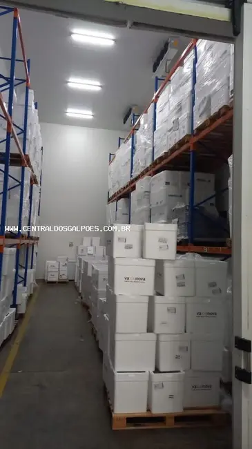 Armazém / Galpão para alugar, 800m2 em Salvador - BA - imagem 3 Foto 3 de Armazém / Galpão para alugar, 800m2 em Salvador - BA