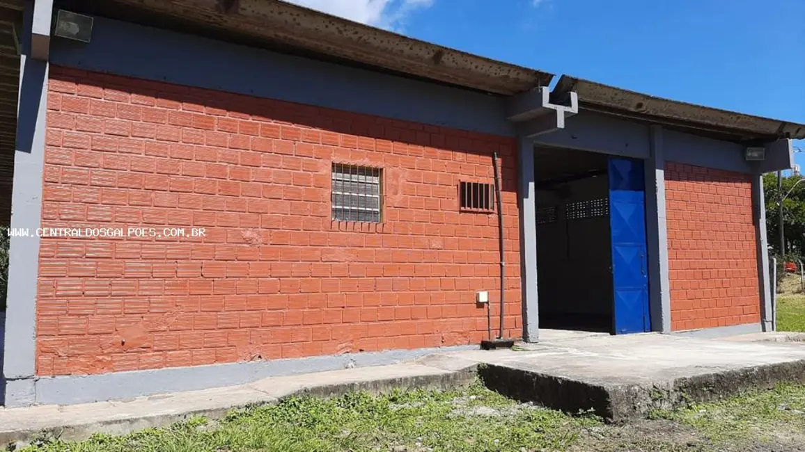 Armazém / Galpão para alugar, 400m2 em Simoes Filho - BA - imagem 7 Foto 7 de Armazém / Galpão para alugar, 400m2 em Simoes Filho - BA