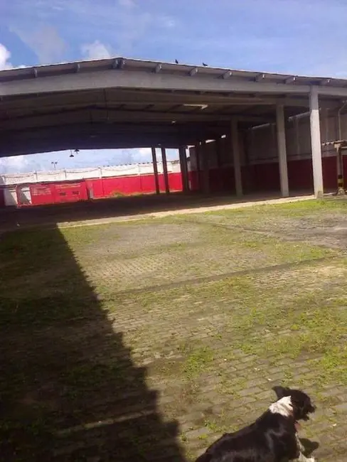 Foto 8 de Terreno / Lote à venda, 4000m2 em Salvador - BA