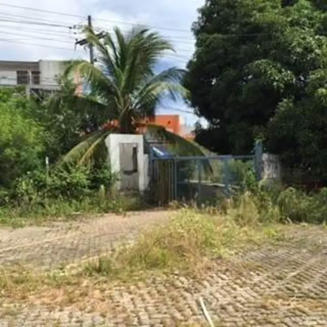 Terreno / Lote para alugar, 5000m2 em Salvador - BA - imagem 3 Foto 3 de Terreno / Lote para alugar, 5000m2 em Salvador - BA