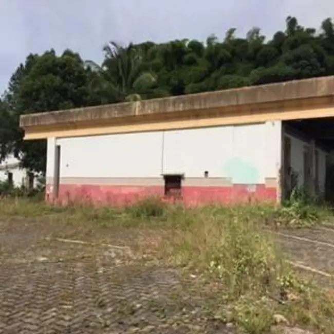 Terreno / Lote para alugar, 5000m2 em Salvador - BA - imagem 8 Foto 8 de Terreno / Lote para alugar, 5000m2 em Salvador - BA
