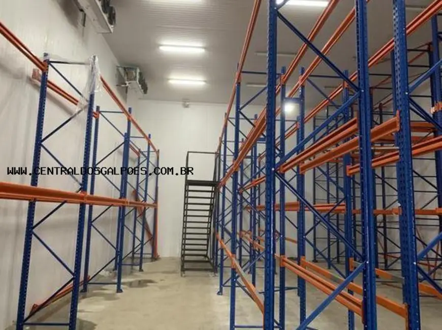 Foto 6 de Armazém / Galpão para alugar, 700m2 em Simoes Filho - BA