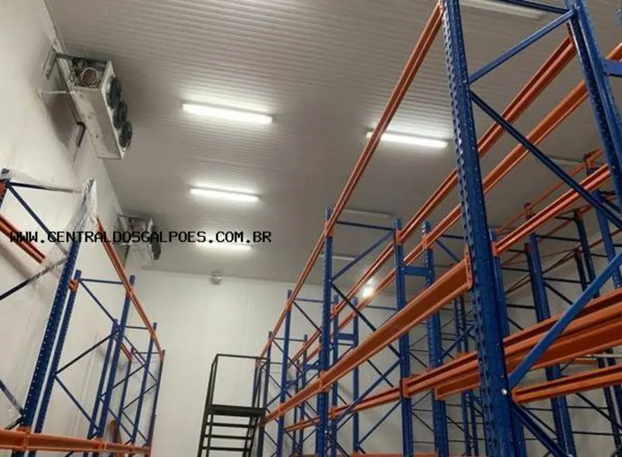 Foto 5 de Armazém / Galpão para alugar, 700m2 em Simoes Filho - BA