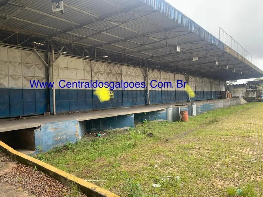 Foto 1 de Armazém / Galpão para alugar, 1500m2 em Salvador - BA