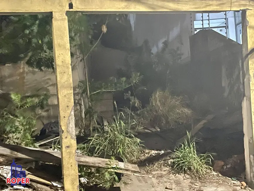 Foto 7 de Terreno / Lote à venda, 500m2 em Vila Granada, São Paulo - SP