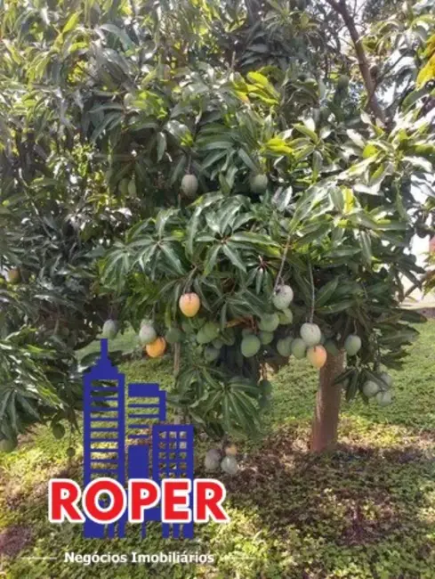 Foto 9 de Sítio / Rancho com 3 quartos à venda, 24000m2 em Rio Acima, Atibaia - SP