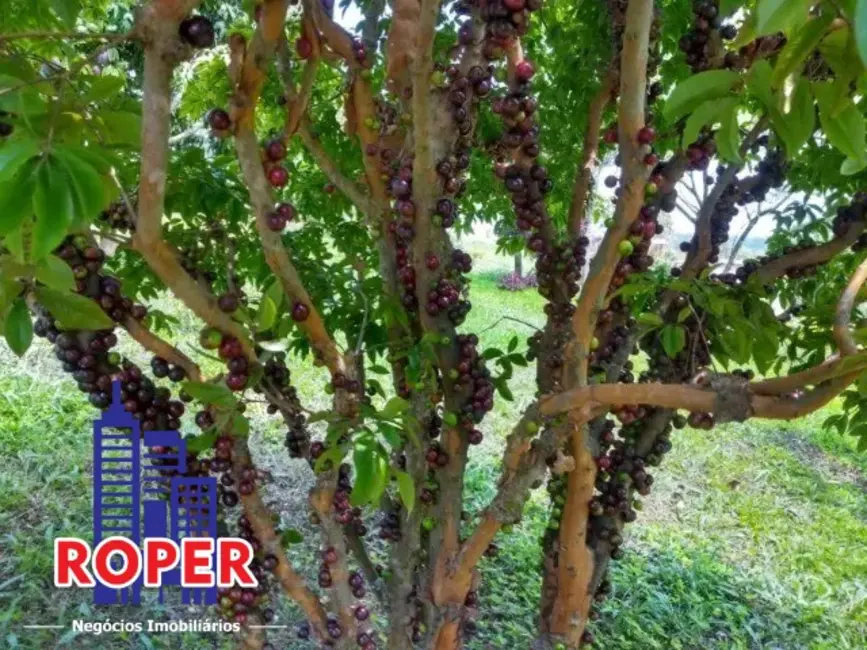 Foto 8 de Sítio / Rancho com 3 quartos à venda, 24000m2 em Rio Acima, Atibaia - SP