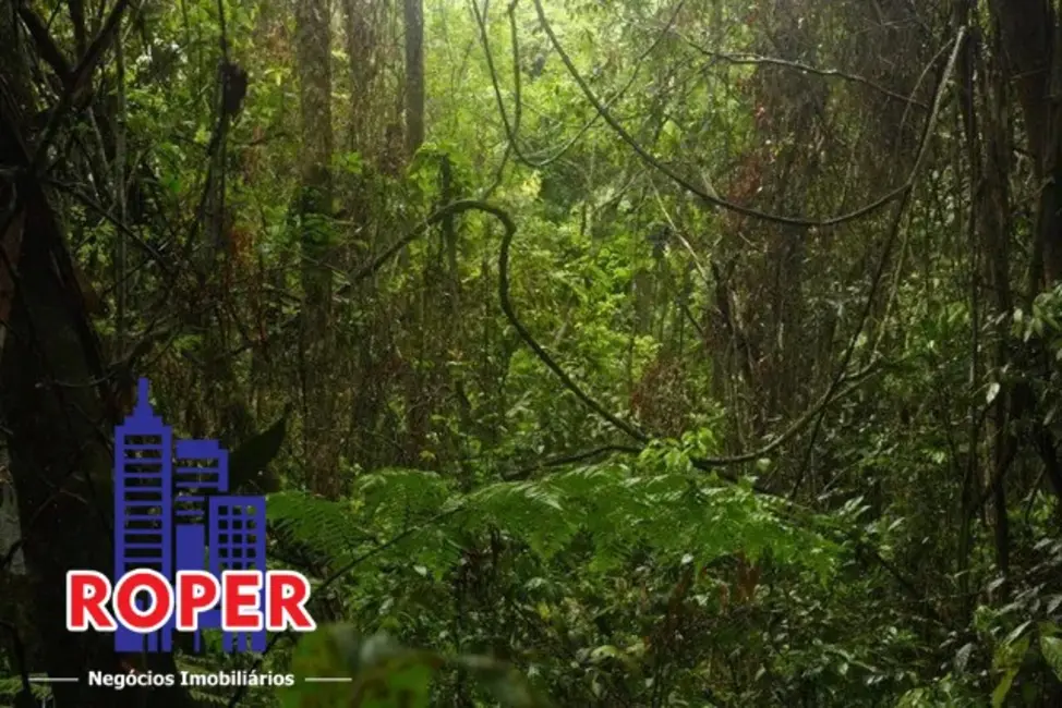 Foto 6 de Chácara à venda, 13000m2 em Vila Moraes, Mogi Das Cruzes - SP