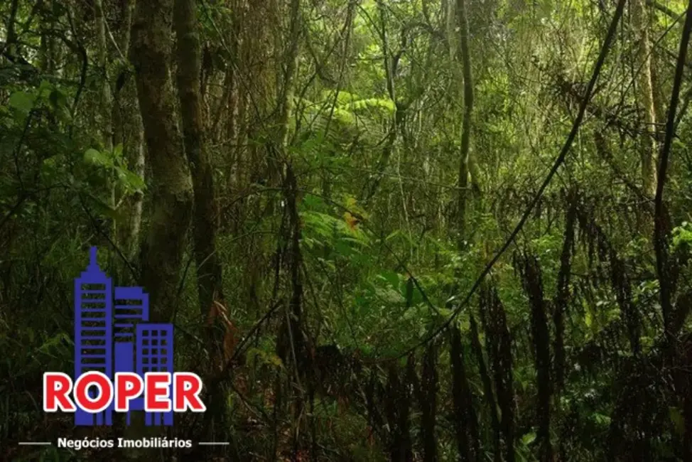 Foto 4 de Chácara à venda, 13000m2 em Vila Moraes, Mogi Das Cruzes - SP