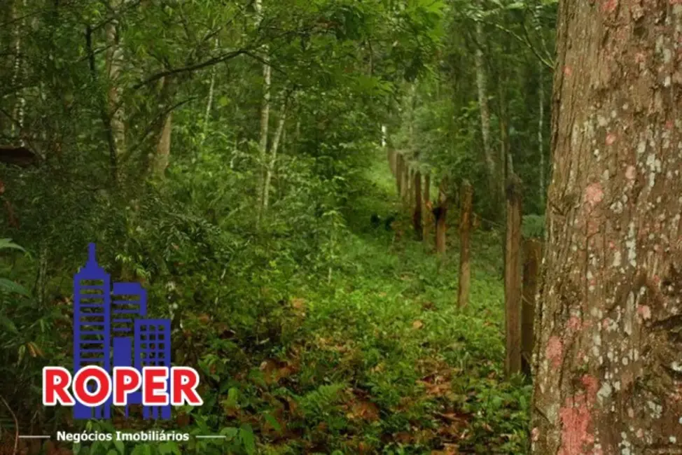 Foto 9 de Chácara à venda, 13000m2 em Vila Moraes, Mogi Das Cruzes - SP