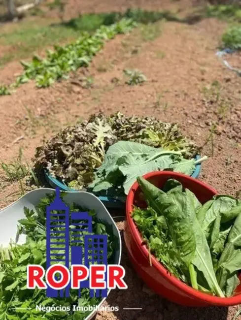 Chácara com 2 quartos à venda, 20000m2 em Sao Jose Dos Campos - SP - imagem 2 Foto 2 de Chácara com 2 quartos à venda, 20000m2 em Sao Jose Dos Campos - SP