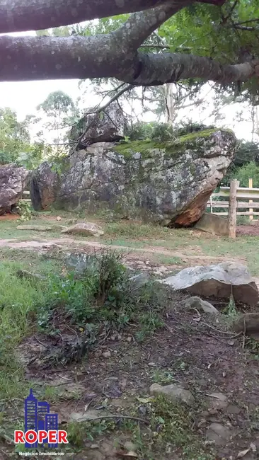 Chácara com 1 quarto à venda, 2348m2 em Mairipora - SP - imagem 2 Foto 2 de Chácara com 1 quarto à venda, 2348m2 em Mairipora - SP