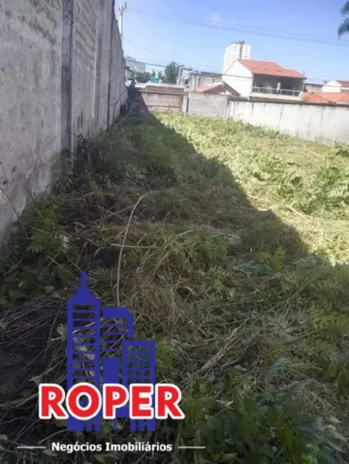 Foto 4 de Terreno / Lote à venda, 500m2 em Jardim Vila Formosa, São Paulo - SP