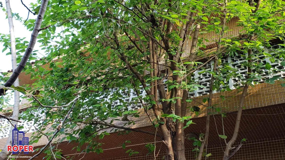 Foto 5 de Sala Comercial com 6 quartos para alugar, 320m2 em Água Branca, São Paulo - SP