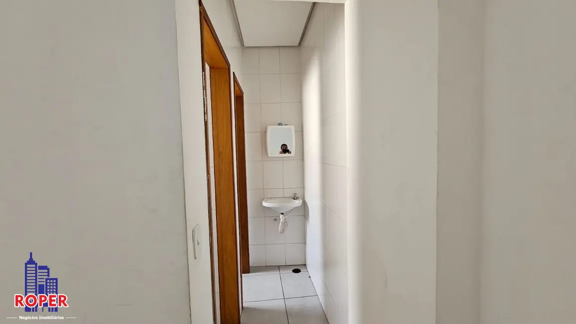 Foto 2 de Sala Comercial para alugar, 30m2 em Vila Marieta, São Paulo - SP