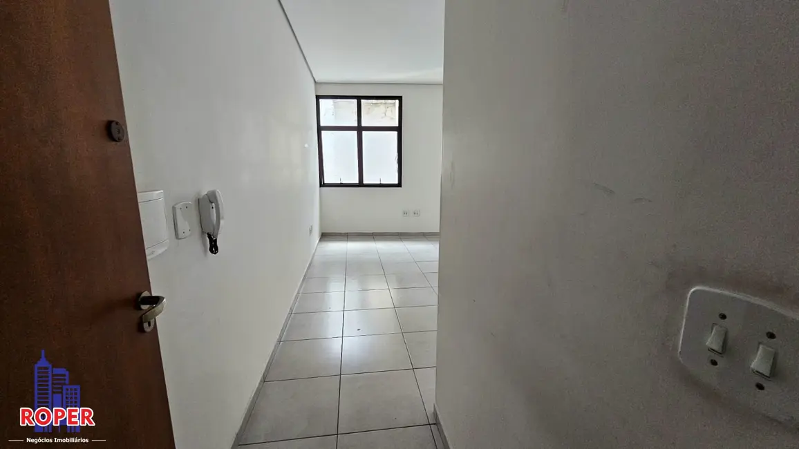 Foto 9 de Sala Comercial para alugar, 30m2 em Vila Marieta, São Paulo - SP