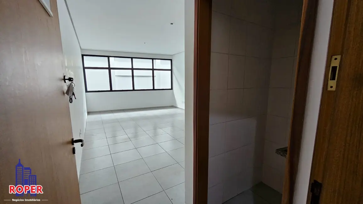 Foto 4 de Sala Comercial para alugar, 32m2 em Vila Marieta, São Paulo - SP