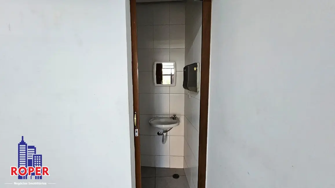 Foto 9 de Sala Comercial para alugar, 44m2 em Vila Marieta, São Paulo - SP