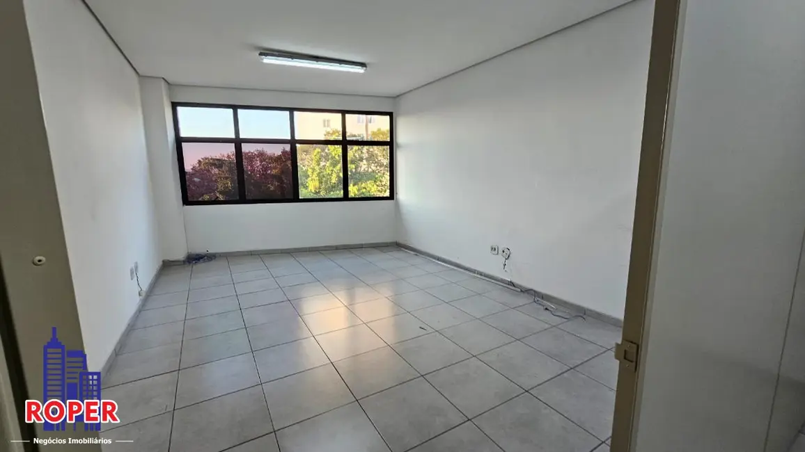 Foto 3 de Sala Comercial para alugar, 44m2 em Vila Marieta, São Paulo - SP