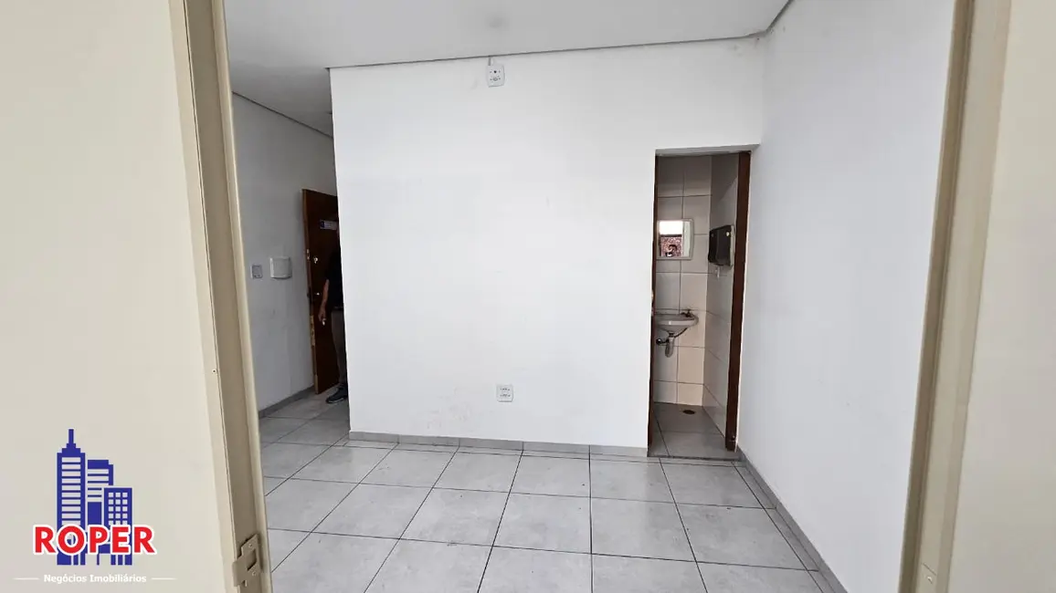 Foto 6 de Sala Comercial para alugar, 44m2 em Vila Marieta, São Paulo - SP