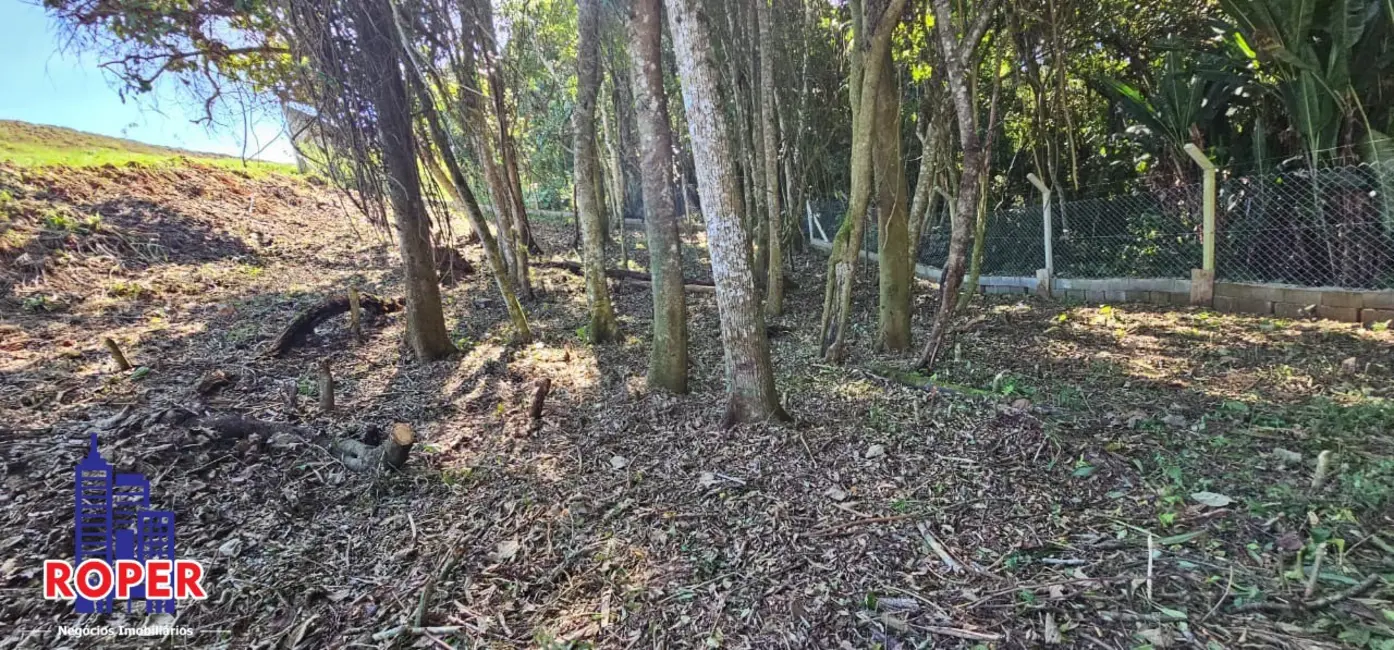 Foto 2 de Sítio / Rancho com 3 quartos à venda, 25000m2 em Cocuera, Mogi Das Cruzes - SP