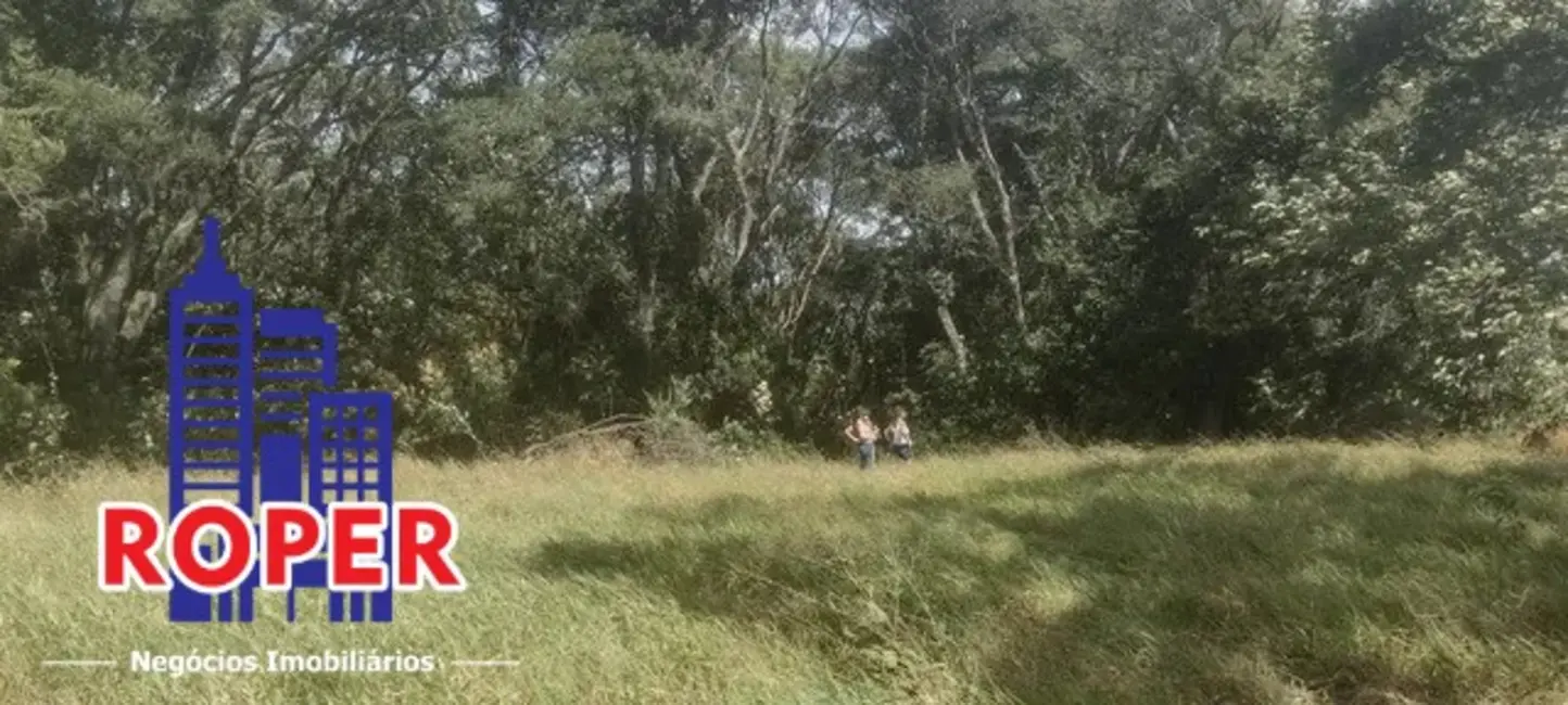 Terreno / Lote à venda, 40000m2 em Ponte Alta, Atibaia - SP - imagem 4 Foto 4 de Terreno / Lote à venda, 40000m2 em Ponte Alta, Atibaia - SP