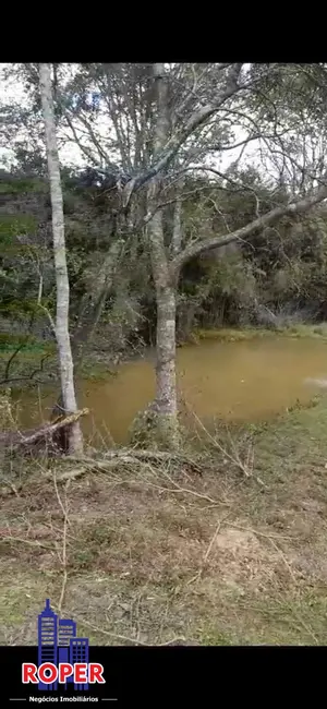 Foto 6 de Chácara com 1 quarto à venda, 9170m2 em Atibaia - SP