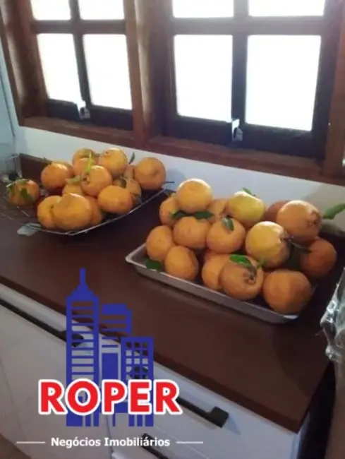 Chácara com 3 quartos à venda, 3200m2 em Piracaia - SP - imagem 6 Foto 6 de Chácara com 3 quartos à venda, 3200m2 em Piracaia - SP