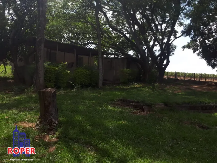 Chácara com 6 quartos à venda, 48000m2 em Jundiai - SP - imagem 7 Foto 7 de Chácara com 6 quartos à venda, 48000m2 em Jundiai - SP