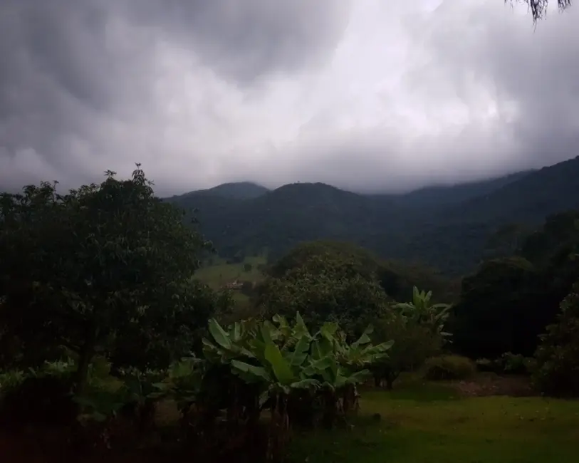 Foto 8 de Chácara com 4 quartos à venda, 18000m2 em Vargem - SP