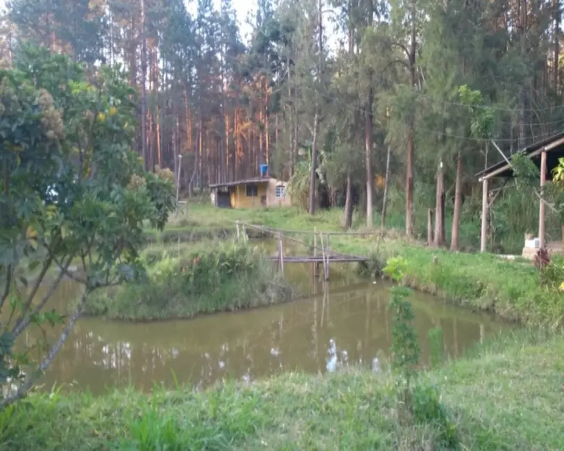 Foto 2 de Chácara com 3 quartos à venda, 12000m2 em Quatinga, Mogi Das Cruzes - SP