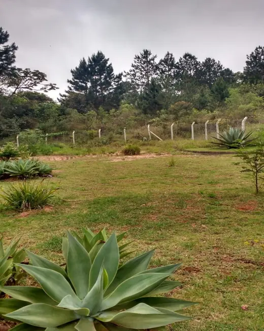 Foto 7 de Chácara com 3 quartos à venda, 2788m2 em Centro, Campo Limpo Paulista - SP