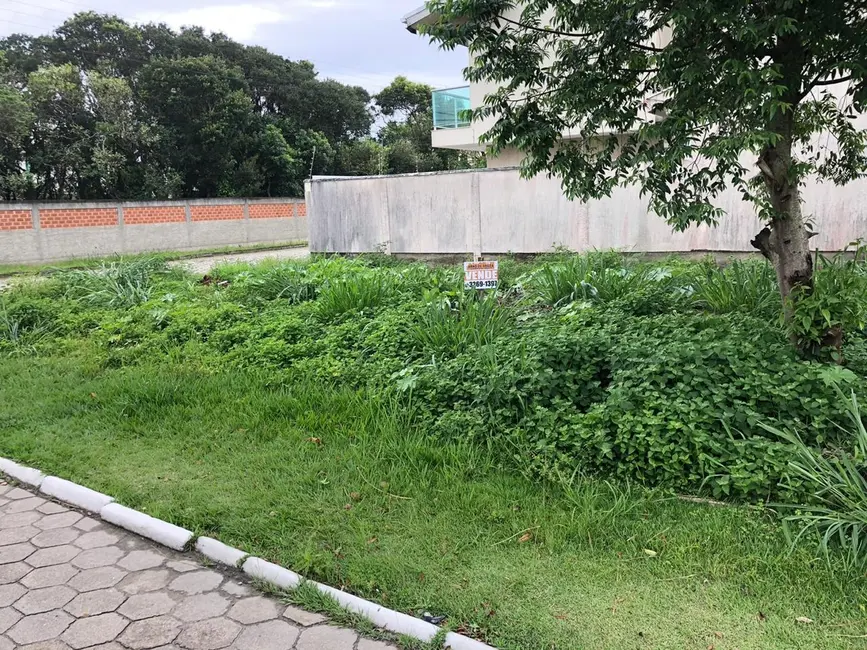 Foto 6 de Terreno / Lote à venda, 271m2 em Bombinhas - SC