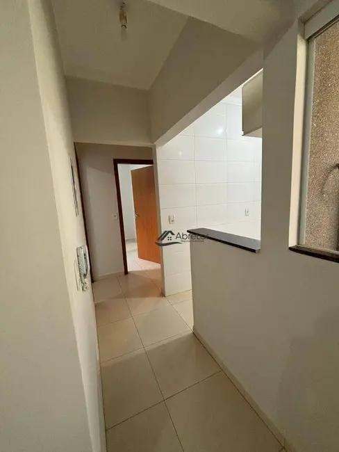 Apartamento com 2 quartos para alugar em Jardim Universitário, Votuporanga - SP - imagem 5 Foto 5 de Apartamento com 2 quartos para alugar em Jardim Universitário, Votuporanga - SP