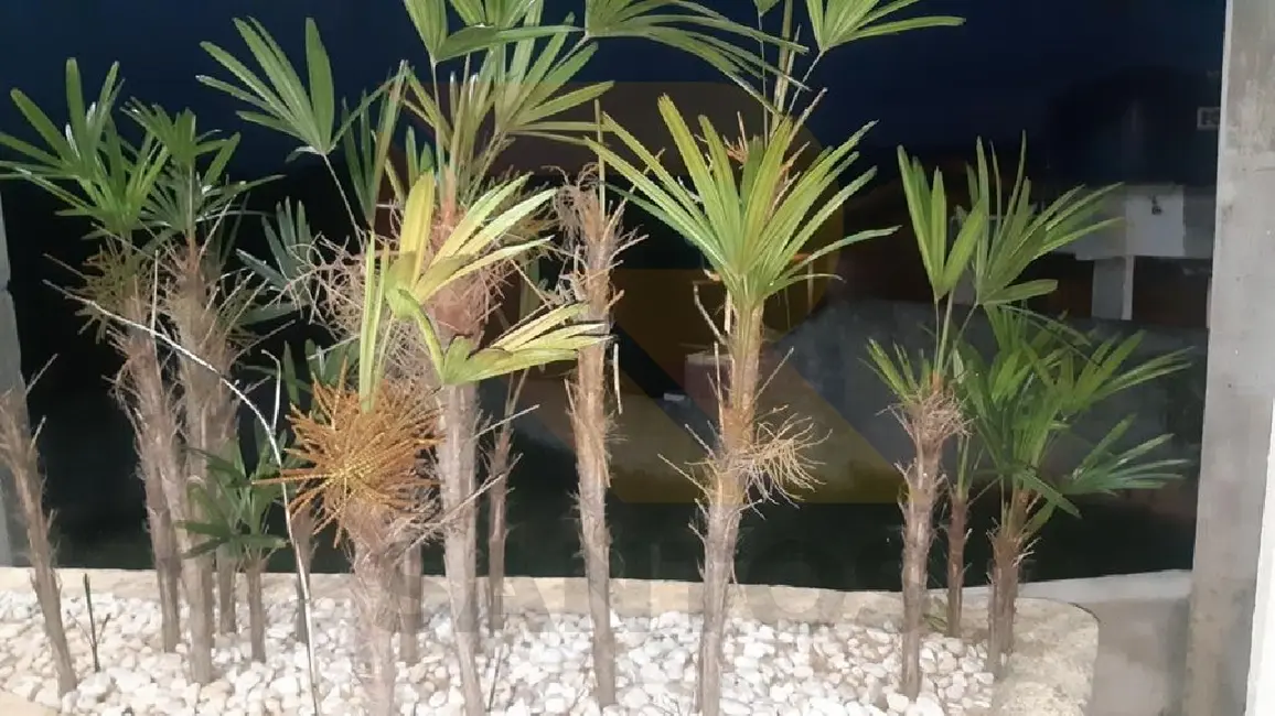 Foto 7 de Chácara com 2 quartos à venda, 150m2 em Chácaras Copaco, Aruja - SP