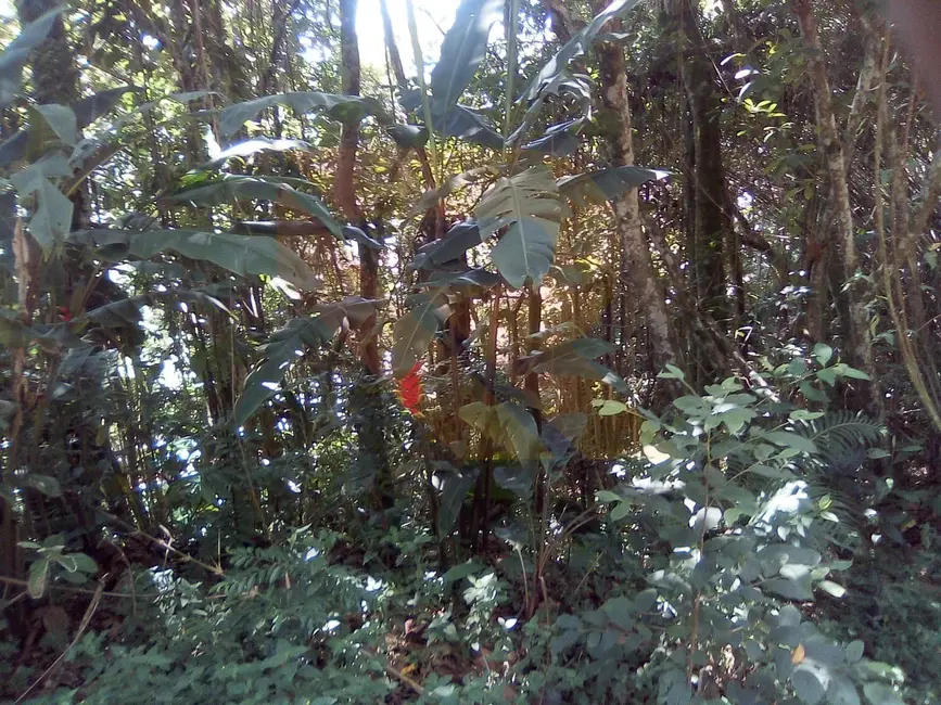 Foto 4 de Terreno / Lote à venda, 1437m2 em Arujázinho I, II e III, Aruja - SP