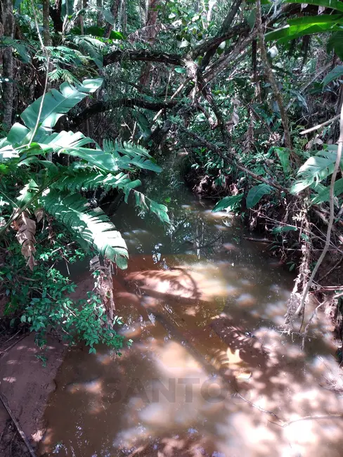 Foto 8 de Sítio / Rancho com 3 quartos à venda, 200m2 em Pedreira, Aruja - SP