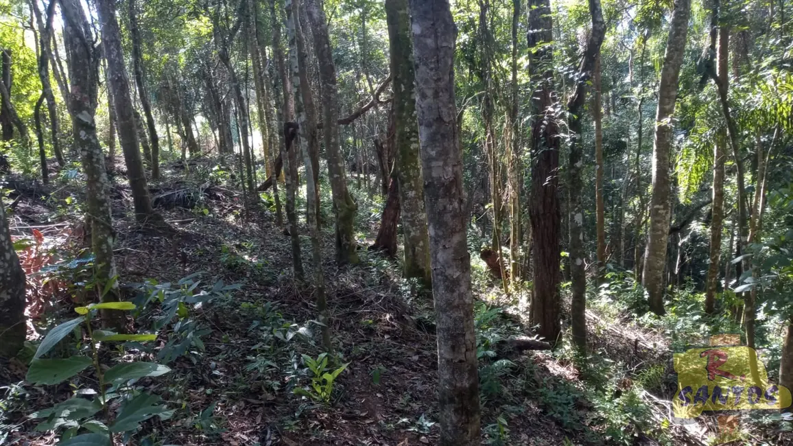 Foto 4 de Terreno / Lote à venda, 10000m2 em Canjicas, Aruja - SP