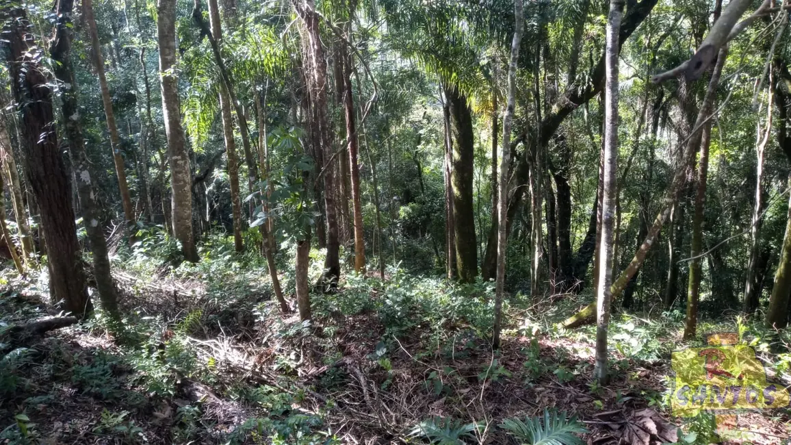 Terreno / Lote à venda, 10000m2 em Canjicas, Aruja - SP - imagem 8 Foto 8 de Terreno / Lote à venda, 10000m2 em Canjicas, Aruja - SP