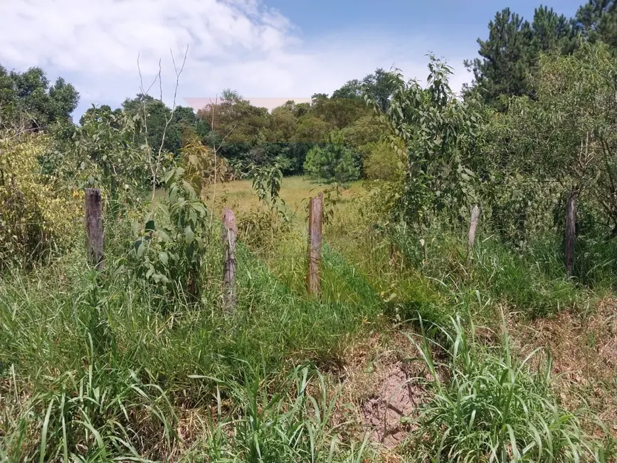 Foto 4 de Sítio / Rancho com 1 quarto à venda em Canjicas, Aruja - SP