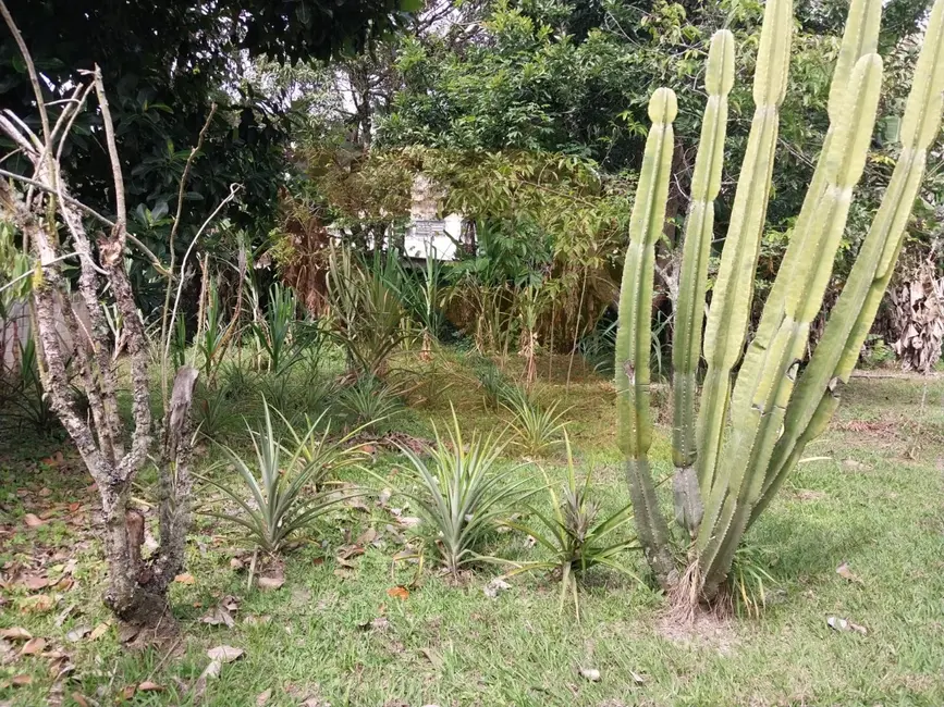 Foto 7 de Chácara com 3 quartos à venda, 180m2 em Santa Isabel - SP