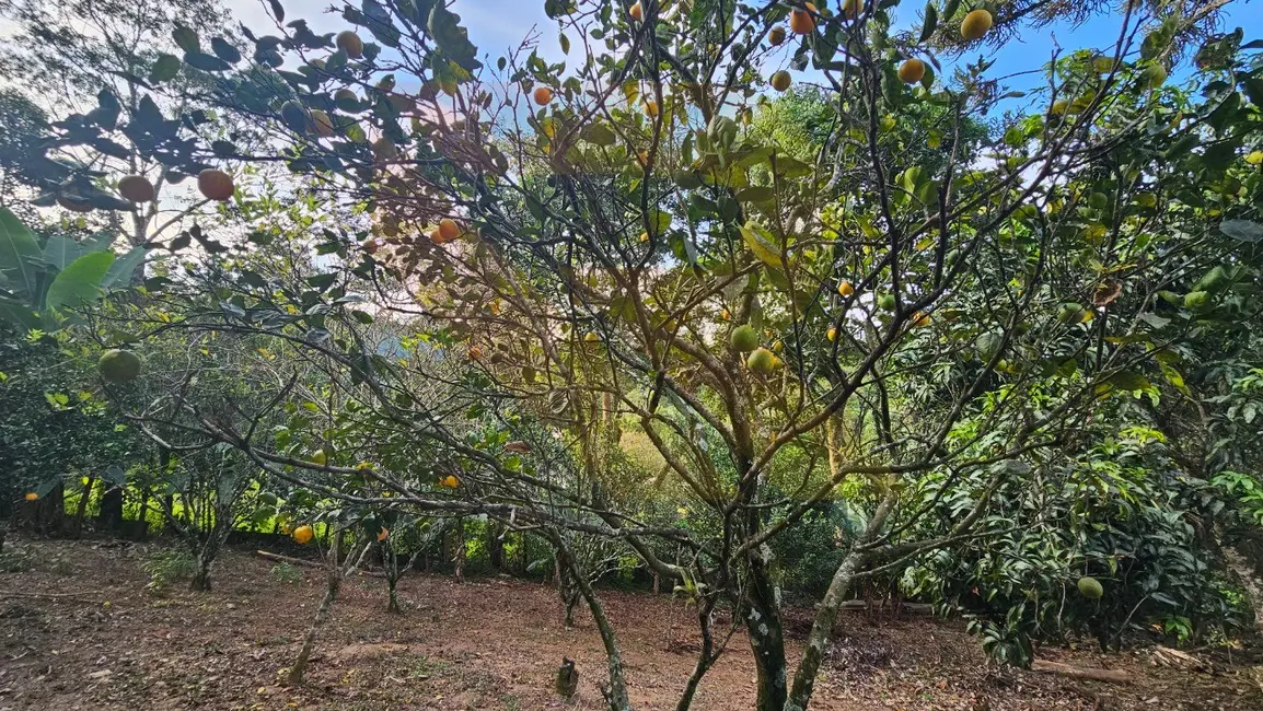Foto 6 de Chácara com 3 quartos à venda em Mirante do Arujá, Aruja - SP
