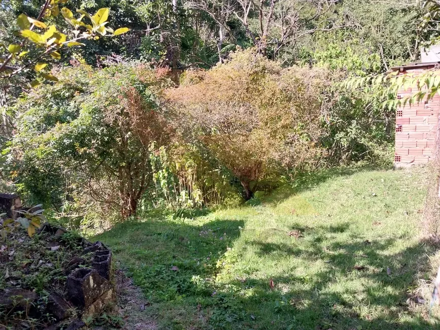 Foto 7 de Chácara com 4 quartos à venda, 6000m2 em Canjicas, Aruja - SP