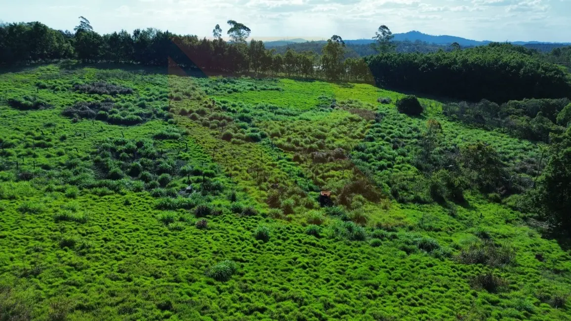 Foto 4 de Terreno / Lote à venda em Taiaçupeba, Mogi Das Cruzes - SP