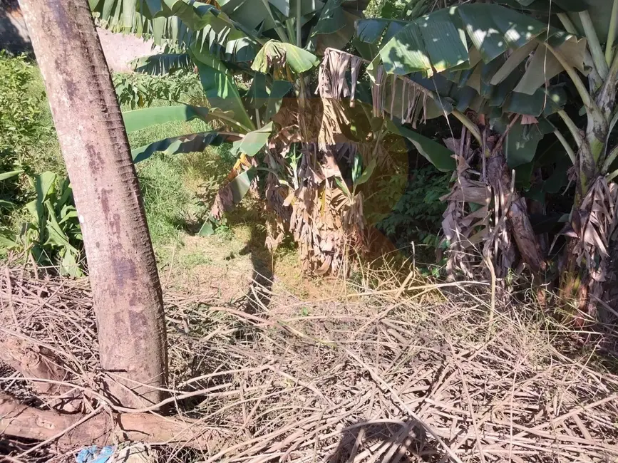 Foto 6 de Terreno / Lote à venda, 600m2 em Vila Pilar, Aruja - SP